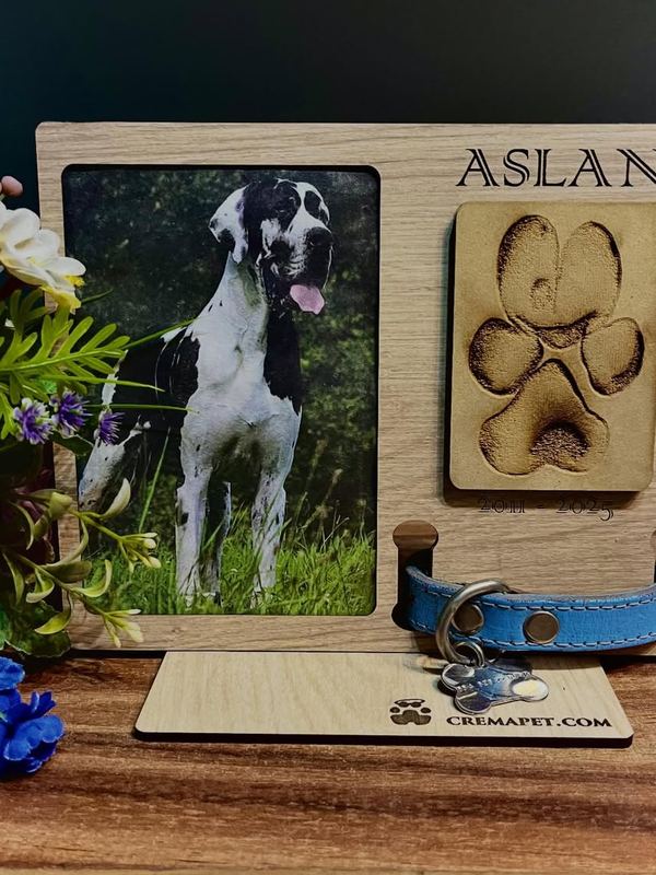 Portarretrato de madera de Aslan con su foto, su huella grabada y su collar