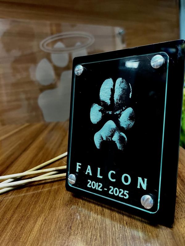 Placa de acrílico negro con la huella de Falcon, 2012 a 2025