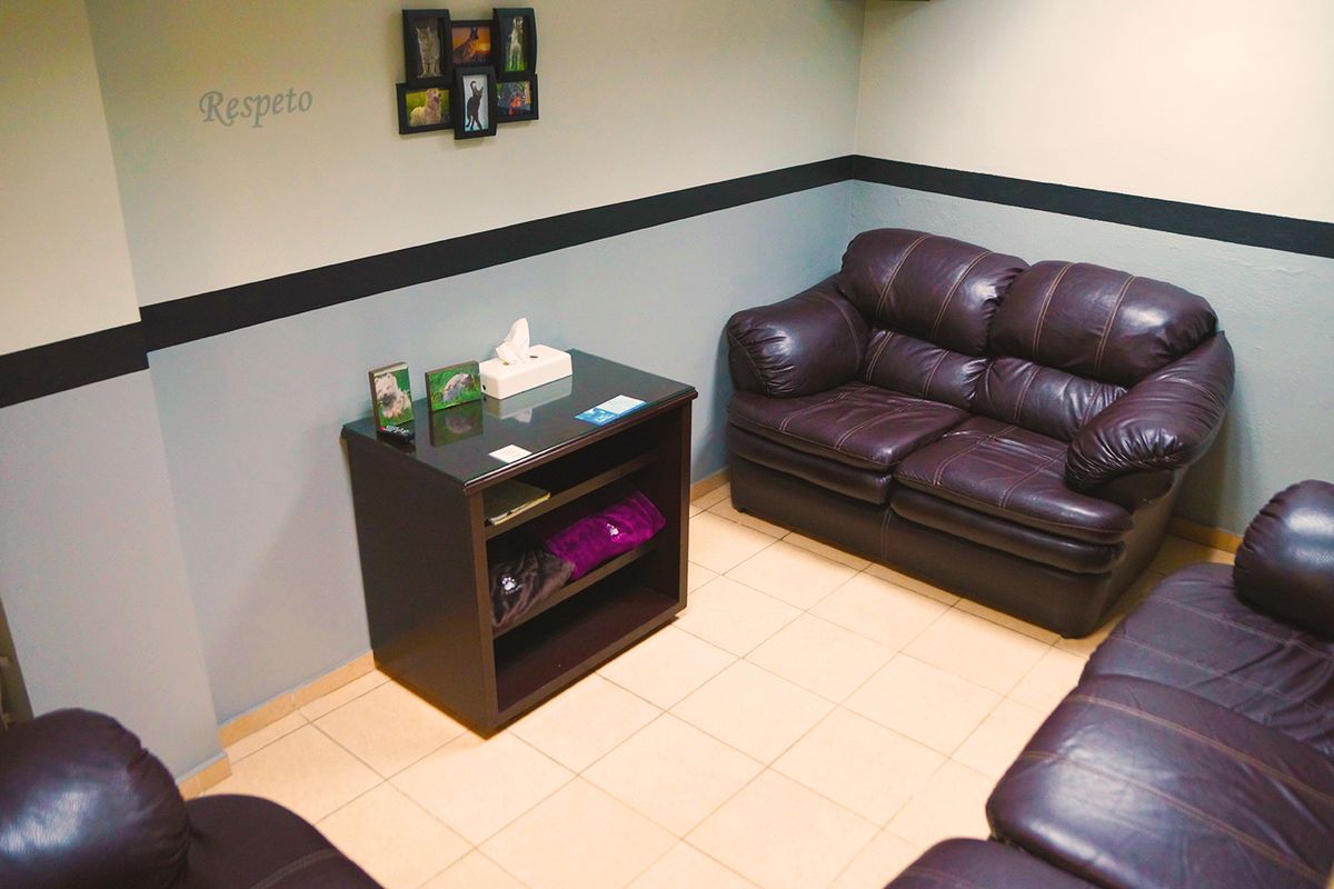 Sala de espera de Cremapet con sillones de piel, una mesa con pañuelos y cuadros en la pared